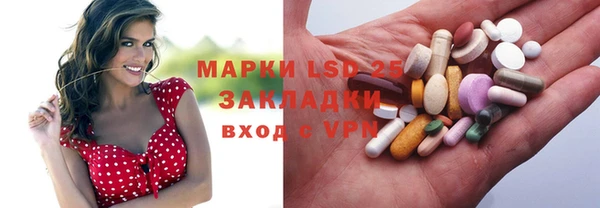 спиды Аркадак