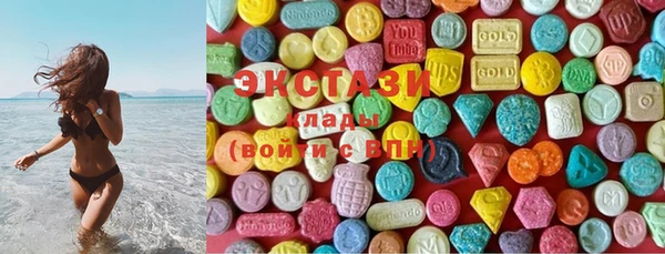 индика Гусев
