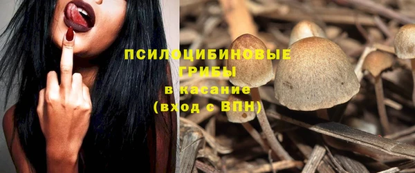 прущие крисы Армянск